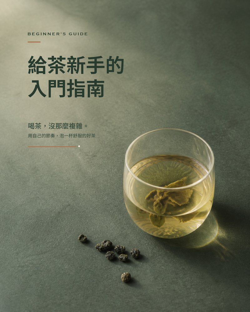 給茶新手的入門陪伴指南
